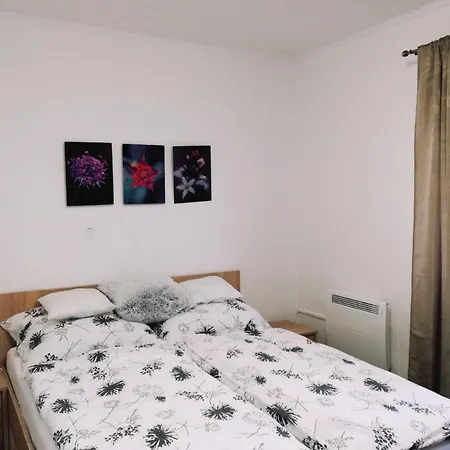 Holiday home Napvirag Vendeghaz