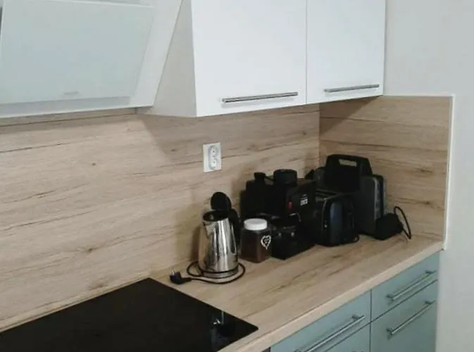 Napvirag Vendeghaz *