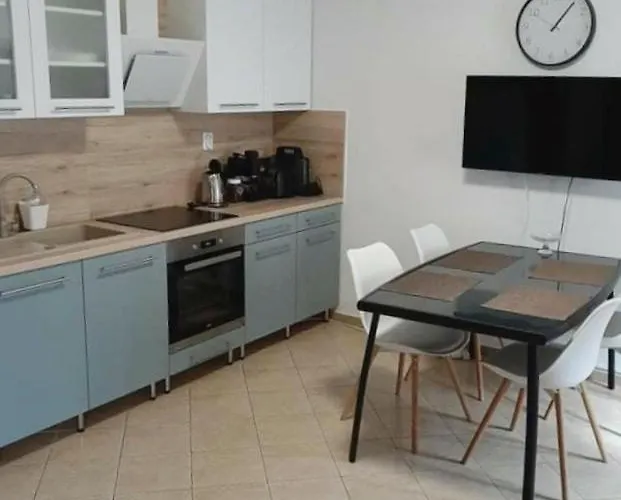 Napvirag Vendeghaz *